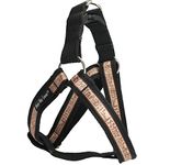 Cotton Web Adjustable Dog Step-in Harness 4 Sizes Egyptian Pattern (Large: 17"-28" Chest)