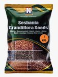 Numinous Sesbania Grandiflora/Hummingbird/Hadga/Agust/Agase/Avisa/Agati/Agastya/Swamp- Pea Tree Seeds - 1 KG