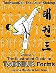 Taekwondo the art of kicking. The i