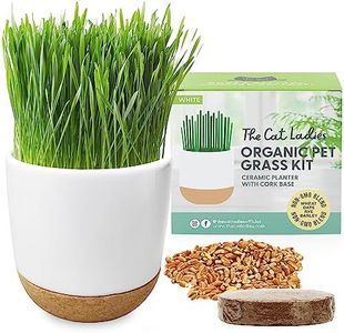 The Cat Ladies Cat Grass for Indoor Cats Kit with Organic Cat Grass Seed Mix, Soil and Ceramic & Cork Planter, Natural Hairball Remedy