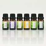 Earnest Living Tea Tree Oil Peppermint Oil Lavender Oil Essential Oil Set for Diffusers for Home Oil Diffuser Essential Oils Eucalyptus Essential Oil