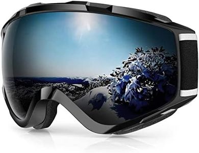 Ski Goggle