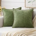 MIULEE Pack of 2 Couch Throw Pillow
