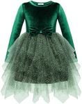 Arshiner Toddler Girls Green Dress Irregular Hem Tulle Cute Bowknot Fall Winter Dresses Holiday Christmas Clothes 2T