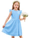 Arshiner Cute Dresses for Girls Ruffle Sleeve A-Line Costume Dance Midi Dress（7-8Years, Light Blue）