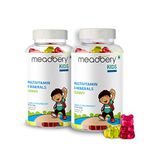 Meadbery Multivitamin And Mineral Gummy Bears Jelly Glutenfree Formula With Vitamin C Vitamin D Vitamin B12 B6 Zinc For Kids Growth Development Immunity Pack of 2