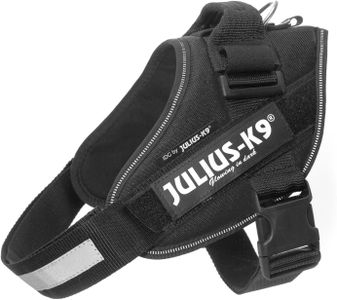 JULIUS-K9 IDC Power Dog Harness, M/0, Black