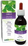 Ginkgo (Ginkgo biloba) Leaves Alcohol-Free Mother Tincture Naturalma - Liquid Extract Drops 120 ml - Food Supplement - Vegan