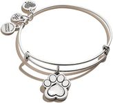 Alex and Ani Expandable Bangle for 