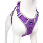 HANK Dog Belt for Small Puppy - 3M Night Reflective - 4 Adjustable Buckles - Chest Size (Min 17 - Max 22" inches) (Small, Violet - Grey Design)