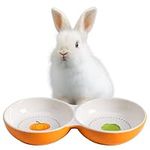 Navaris Twin Feeding Bowls for Small Pets - Durable Double Ceramic Bowl Set for Rabbits, Guinea Pigs - Ideal Food & Water for Kitten, Puppy - Space-Saving & Easy to Clean - Orange