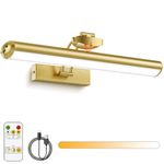 AIXPI Rechargeable Picture Lights, 4000mAh Battery Operated Wall Lights with Remote, Dimmers, Timers & 3 Color Temps, 12.6" Wireless Magnetic Art Light for Living Room, Artworks, Gold 1 Pack
