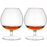 Patrani Fashion | Italian Premium Classic Crystal Brandy Glass Set of 2, 250 ML Balloon Glass Non-Lead Ideal for Red & White Wine Glasses, Classic Beer Glasses Scotch Glass Ultra-Thin Small