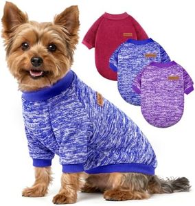 3 Pack Dog