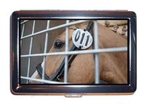 Cigarette Case Box,animal blur cage,Cash Holder Case Box