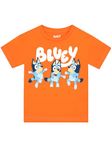 Bluey T-Shirt | Bingo Boys Short Sleeve Shirts | 100% Cotton Tee Shirts for Boys | Orange 7