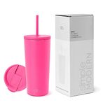 Simple Modern Insulated Tumbler with Straw and Lid | Iced Coffee Cup Reusable Stainless Steel Water Bottle Travel Mug | Gifts for Women & Men | Classic Collection | 20oz | Raspberry Vibes