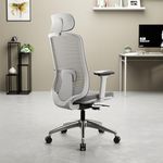 Green Soul Cosmos Pro Premium Office Chair | High Back | Mesh Ergonomic Home Office Desk Chair (Steel Grey)