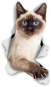 Winston & Bear 3D Cat Stickers - 2 Pack - Breakout Siamese Cat Decals for Wall - Stickers for Bedroom - Fridge - Toilet - Room - Retail Packaged Blue-Eyed Siamese Cat Stickers