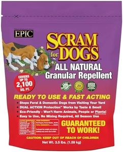 Dog Scram