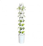 Green warrior Nova 40-Planter Vertical Hydroponic & Aeroponics Tower System with Seeds, Tds Meter & Coco Disc - Perfect for Home Farming & Gardening