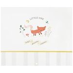 C.R. Gibson BA3-24546 Little One Woodland Gender Neutral Baby's First Year Keepsake Calendar, 11" W x 18" H Open, Multicolor