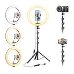 Boltove 10-Inch LED Ring Light with Adjustable Stand Perfect for Photography, Makeup, and Live Streaming Dimmable Brightness, Colour Temperature Control Light Photography Tripod