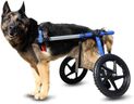 Dog Wheelchair - for Large Dogs 70-180 Pounds - Veterinarian Approved - Dog Wheelchair for Back Legs