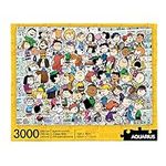 Aquarius Peanuts Cast Puzzle (3000 