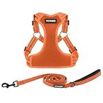 Best Pet Supplies Voyager Adjustable Dog Harness Leash Set with Reflective Stripes for Walking Heavy-Duty Full Body No Pull Vest with Leash D-Ring, Breathable All-Weather - Harness (Orange), S