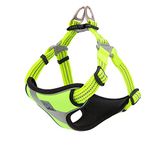 Reflective Dog Harnesses