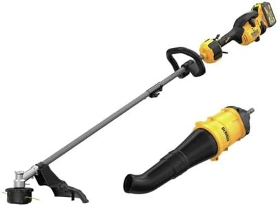 Dewalt DCS