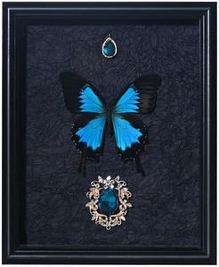 Real Butterfly Framed Taxidermy, Butterfly Specimen For Science Class, Home Decor Wall Art, Ideal gift for daughter wife and female friend