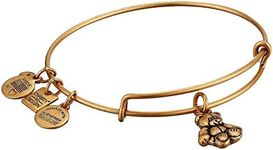 Alex and Ani no-Metal-Stamp (Fashion only) Alloy NA One Size Gold