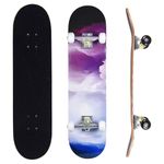 ERNAN Skateboards,Skateboards for Beginners, 31" x 8" 7 Layer Canadian Maple Double Kick Concave Deck, Complete Skateboard for Boys Girls Teens Adults Beginner (Mist)