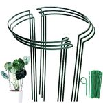 MUAEEOK 6 Pack 25x60cm Plant Support Stakes, Metal Garden Plant Stake, Outdoor Tall Plant Support Ring Cage,Large Plant Supports for Tomato,Vegetable, Rose,Flowers Vine (25x60cm)