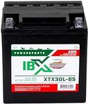Interstate Batteries YTX30L-BS 12V 