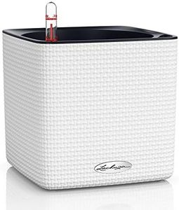 Lechuza Cube Color 16 Self Watering Plant Pot, White, 17 cm Diameterx 17 cm Width x 16 cm Height