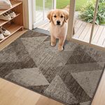 COSY HOMEER Dirt Trapper Door Mat for Indoor 60 x 90 cm, Dirt Trapper Front Door Mat, Polyester Welcome Mat Entrance Rug, Absorbent Non-Slip Indoor Doormat Machine Washable, Brown