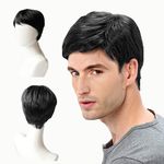 Mens Wig Costume