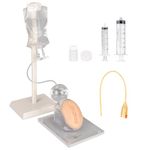 MedEduQuest Female Catheterization Simulator Set, Catheter Insertion Model for Medical Students Or Nurses