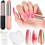 SAVILAND 2PCS Silicone Nail Brush: Reusable Chrome Nail Powder Applicator Brush for Ombre Aura Nails Ombre Nail Brush Nails Art Gradient Painting Brushes for beginners