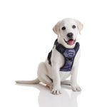 Funfox Tactical Dog Harness No Pull, Adjustable Dog Vest Harness for Easy Walking with Reflective Strips, Front Clip Easy Control Medium Breed Dog Camo Purple