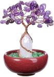 PESOENTH Amethyst Tree of Life Crystal Tree Purple Tree Crystals Gifts Money Tree Dcorations Home Healing Stones Gemstone Tree Feng Shui Decor Room Office Desk Spiritual Gifts Christmas