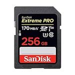 [Older Version] SanDisk 256GB Extre