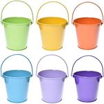 TAKMA Small Metal Buckets with Hand