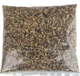 Live Fishing Bait 1 pint (300g) of Live Black Soldier Fly Maggots Parcel will fit through Letter box