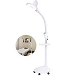 Floor Standing Magnifier Lamp With Hands Free Daylight Adjustable Brightness LED Light, Hose One Button Switch For Reading, Beauty, Hobbies And Craft White B