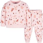 Gerber Baby Girls Toddler 2-Piece F