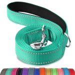 Joytale Double-Sided Reflective Dog Leash, 6 FT/5 FT/4 FT, Padded Handle Nylon Dogs Leashes for Medium & Large Dogs Walking, Teal, 6FT